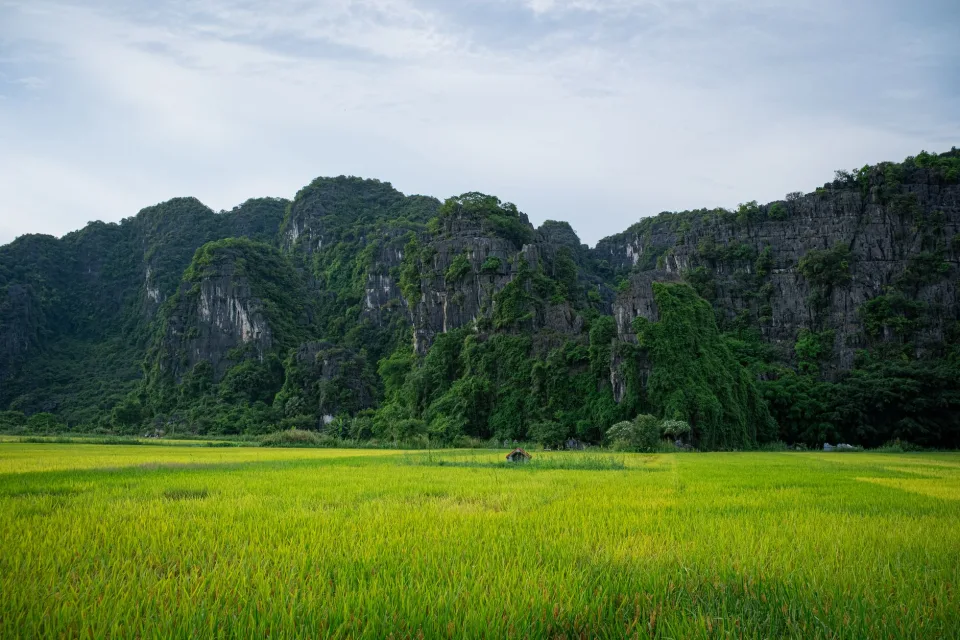 Kho gạo của Lê Thị Nguyệt